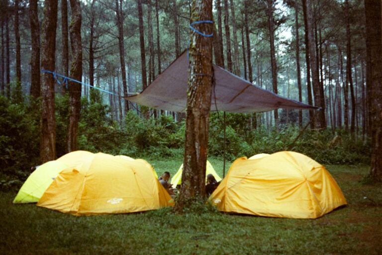 How to Choose the Best Tent for Your Camping Trip